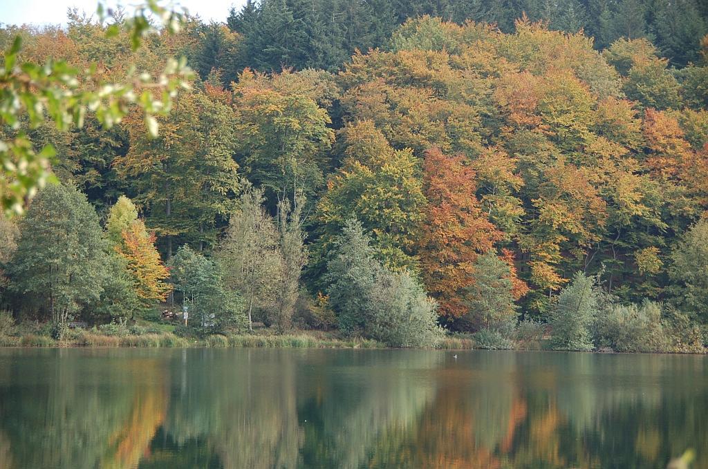 Ferienwohnungen Landgasthaus Janshen Ellscheid Екстер'єр фото