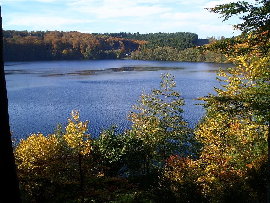 Ferienwohnungen Landgasthaus Janshen Ellscheid Екстер'єр фото