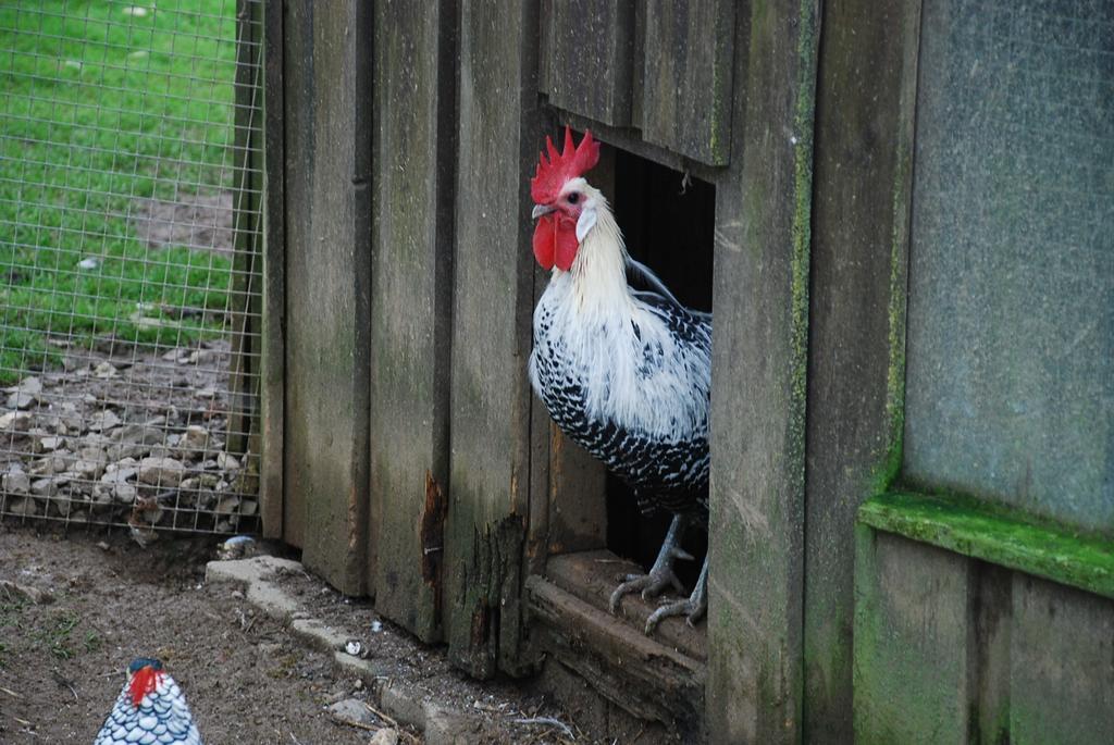 Ferienwohnungen Landgasthaus Janshen Ellscheid Номер фото